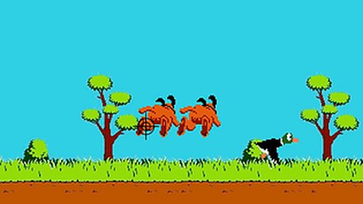 Duck hunt