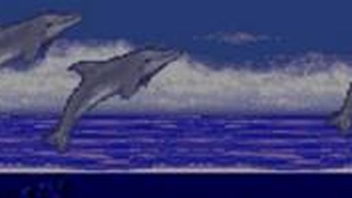 Ecco the Dolphin