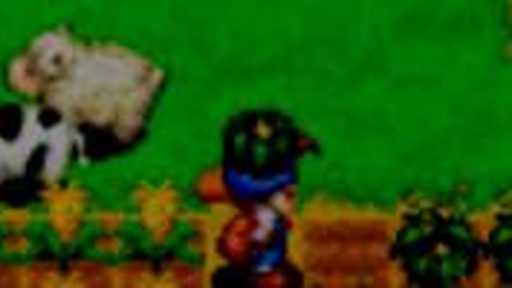 Harvest Moon