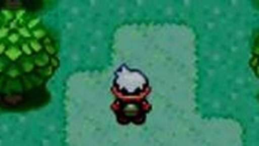Pokemon Emerald